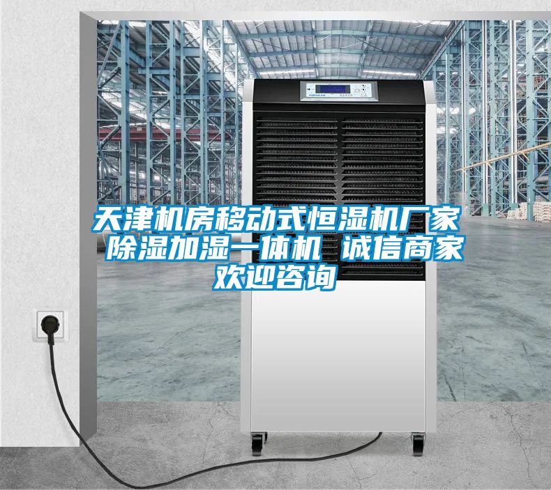 天津機(jī)房移動(dòng)式恒濕機(jī)廠家 除濕加濕一體機(jī) 誠信商家歡迎咨詢