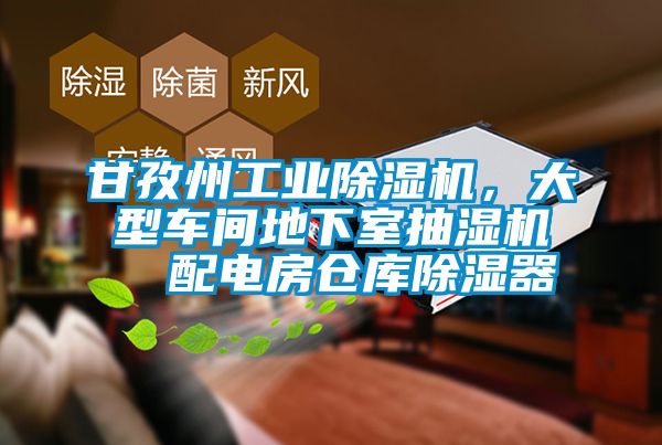 甘孜州工業除濕機,大型車間地下室抽濕機 配電房倉庫除濕器